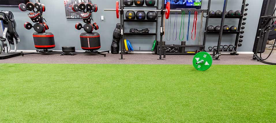 Well-equipped gym with green turf floor, weights, and various exercise equipment.